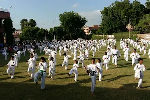 National Martial Art & Sports Academy image