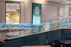 Your CBD Store Lindale Mall image