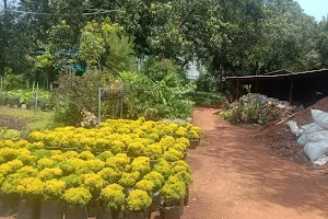 Saranamayyappa Gardens image
