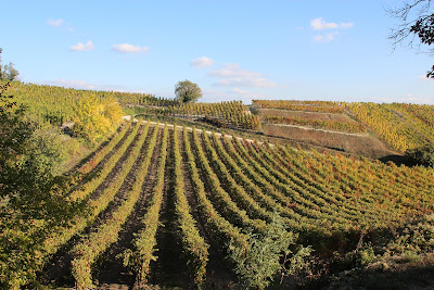 Domaine Delhome à Larnage