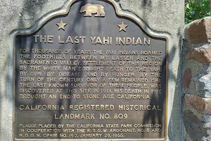 The Last Yahi Indian image
