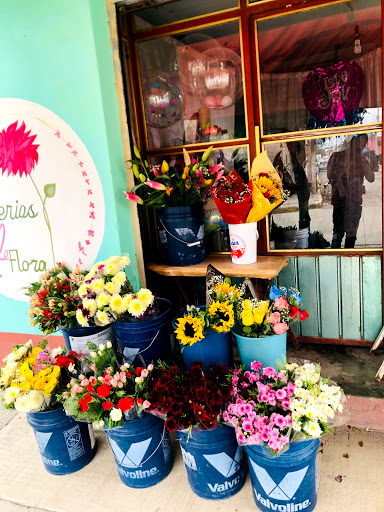 Florerías EleFlora – San Pablo de las Salinas