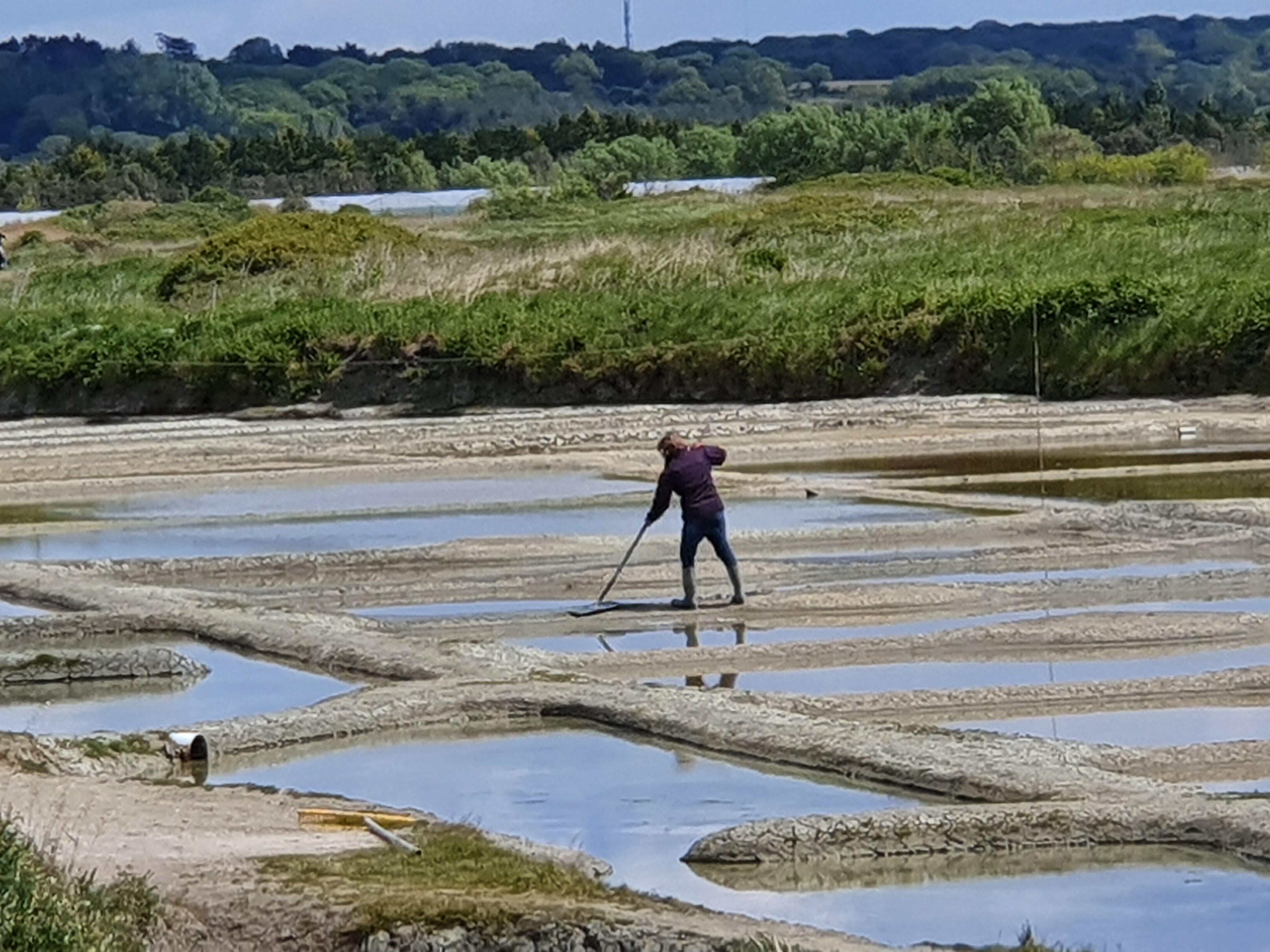 Photo n° 2 de l'avis de Serge.l fait le 27/08/2019 à 11:17