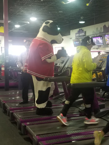 Gym «Planet Fitness - Houston (Highway 6), TX», reviews and photos, 14485 Bellaire Blvd, Houston, TX 77080, USA