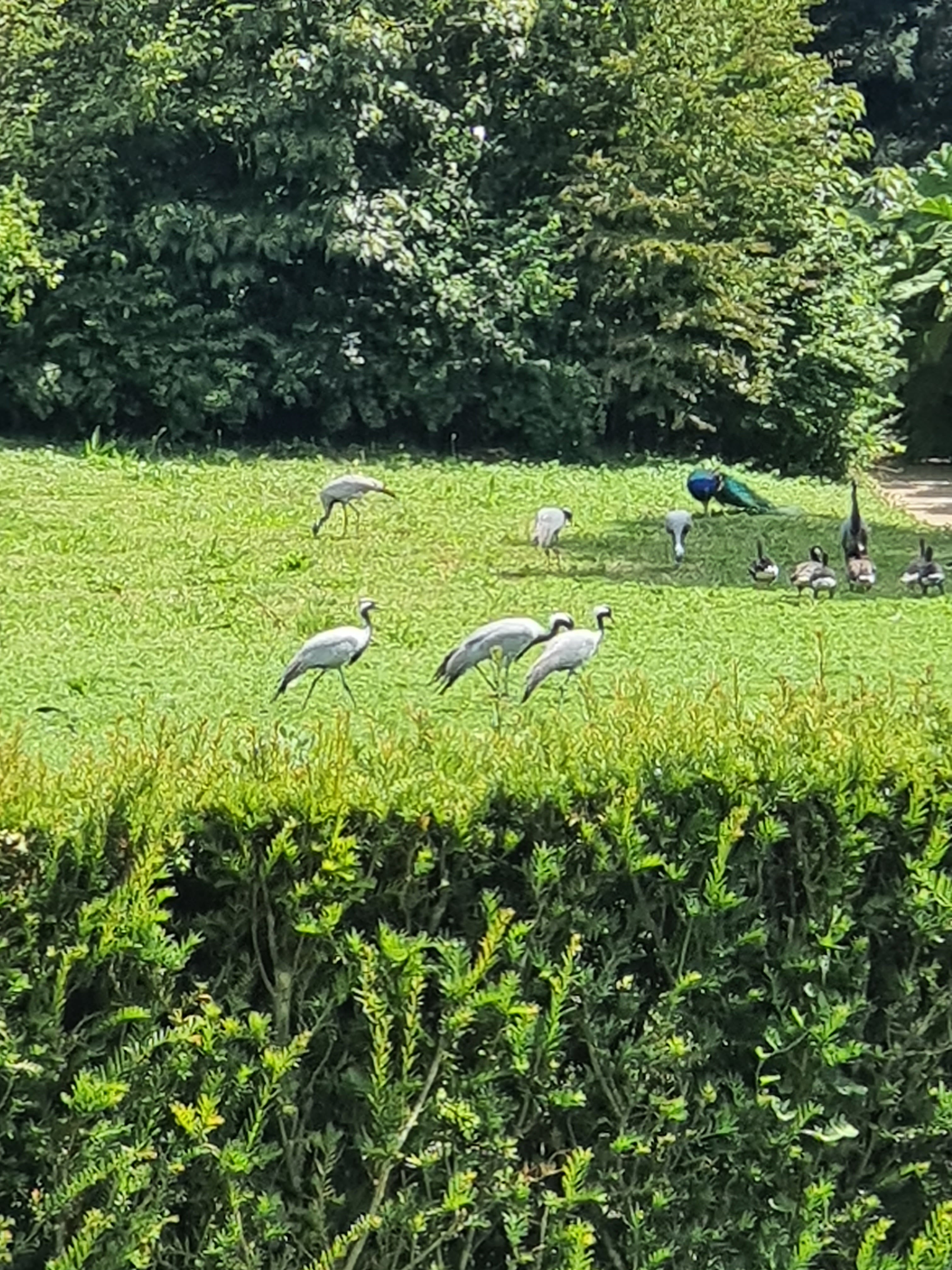 Photo n° 2 de l'avis de Mylene.o fait le 17/07/2023 à 15:57
