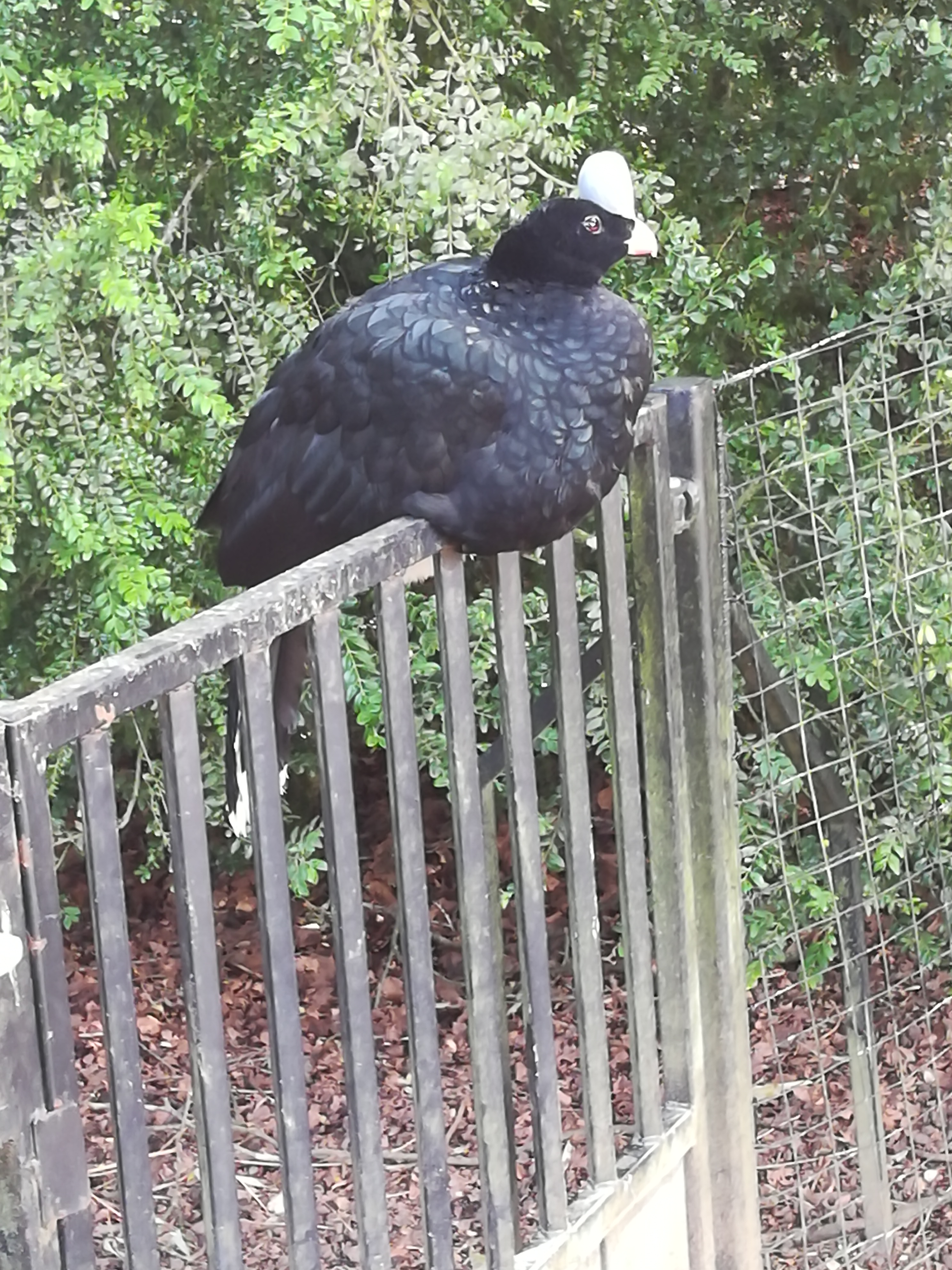Photo n° 21 de l'avis de Christophe.A fait le 26/07/2020 à 19:03