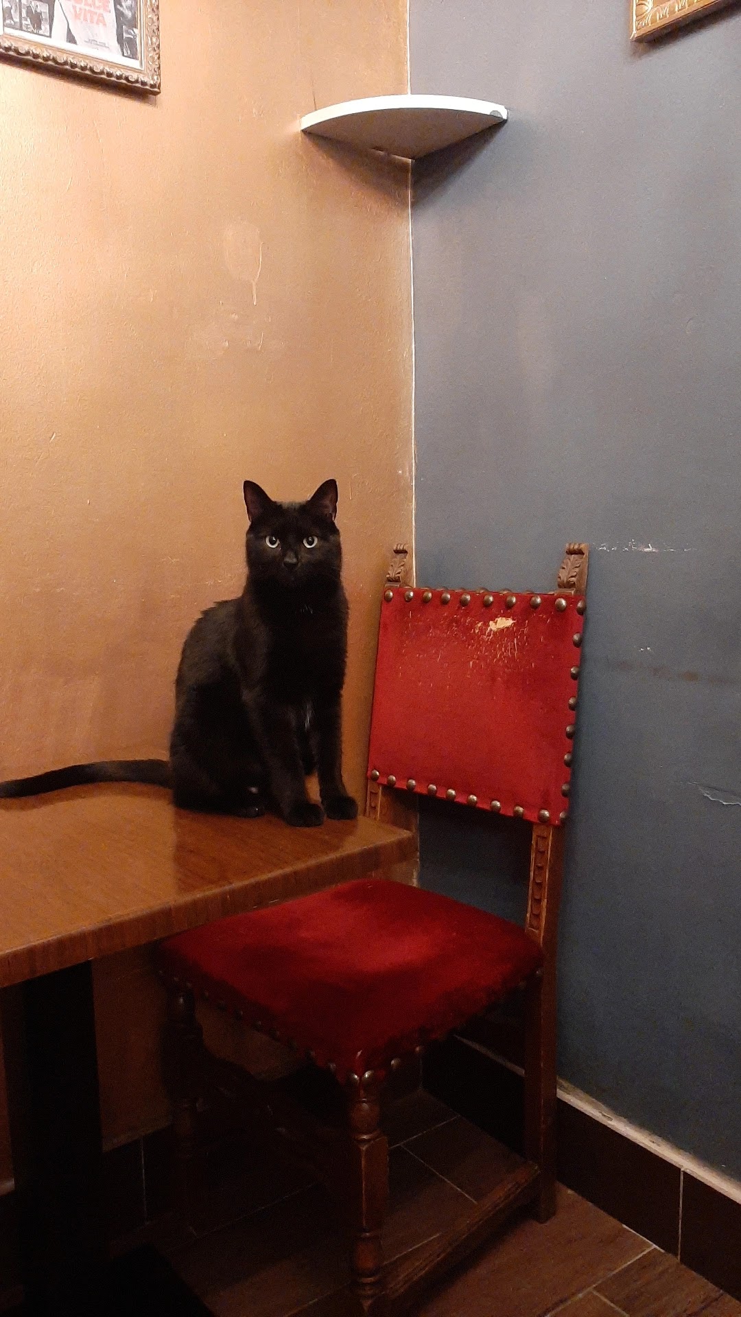 Photo n° 5 de l'avis de Clément.o fait le 10/08/2021 à 23:08