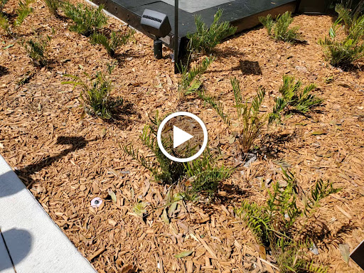 City Hall «City of Boynton Beach», reviews and photos