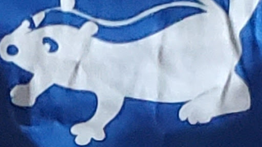 Photo of Pepe Le Pew Construction LLC