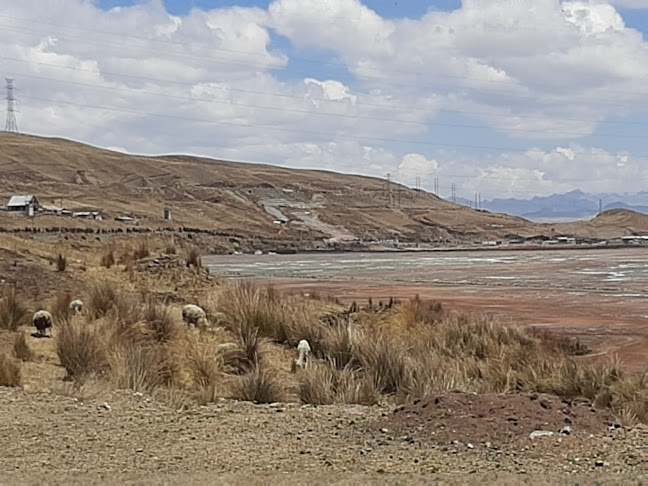 8PPV+597, Cerro De Pasco 19001, Perú
