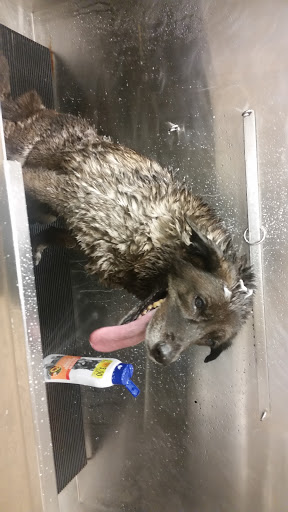 Pet Supply Store «Pet Supplies Plus», reviews and photos, 1616 Precinct Line Rd, Hurst, TX 76054, USA