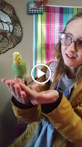 Pet Supply Store «Petco Animal Supplies», reviews and photos, 2435 N Hwy 67, Florissant, MO 63033, USA