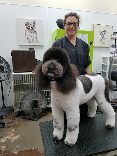 Pet Supply Store «Odyssey Pets», reviews and photos, 14999 Preston Rd #400a, Dallas, TX 75254, USA