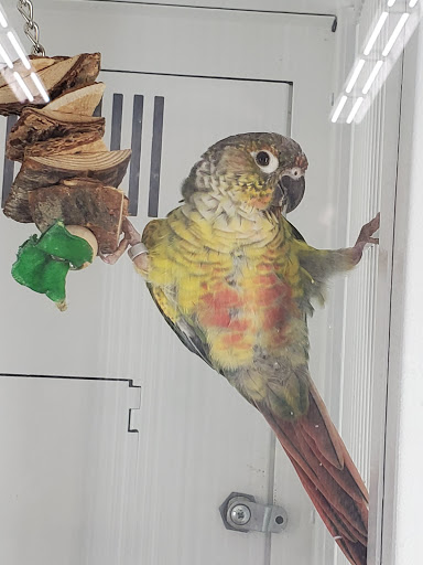 Pet Supply Store «Petco Animal Supplies», reviews and photos, 1350 S Ironton St #120, Aurora, CO 80012, USA