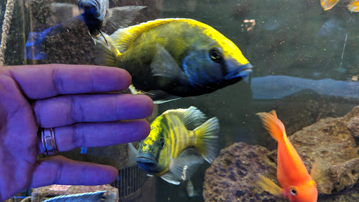 Aquarium «Aquatica», reviews and photos, 800 Clanton Rd H, Charlotte, NC 28117, USA