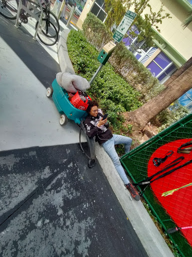 Pet Supply Store «Dog Bar», reviews and photos, 1684 Jefferson Ave, Miami Beach, FL 33139, USA