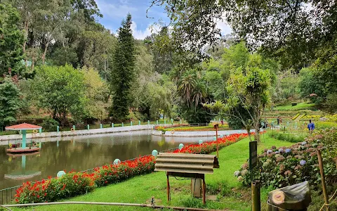 Nilgiris tea image