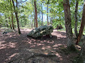 Dolmen de la Pierre Procureuse Saint-Cyr-la-Rosière