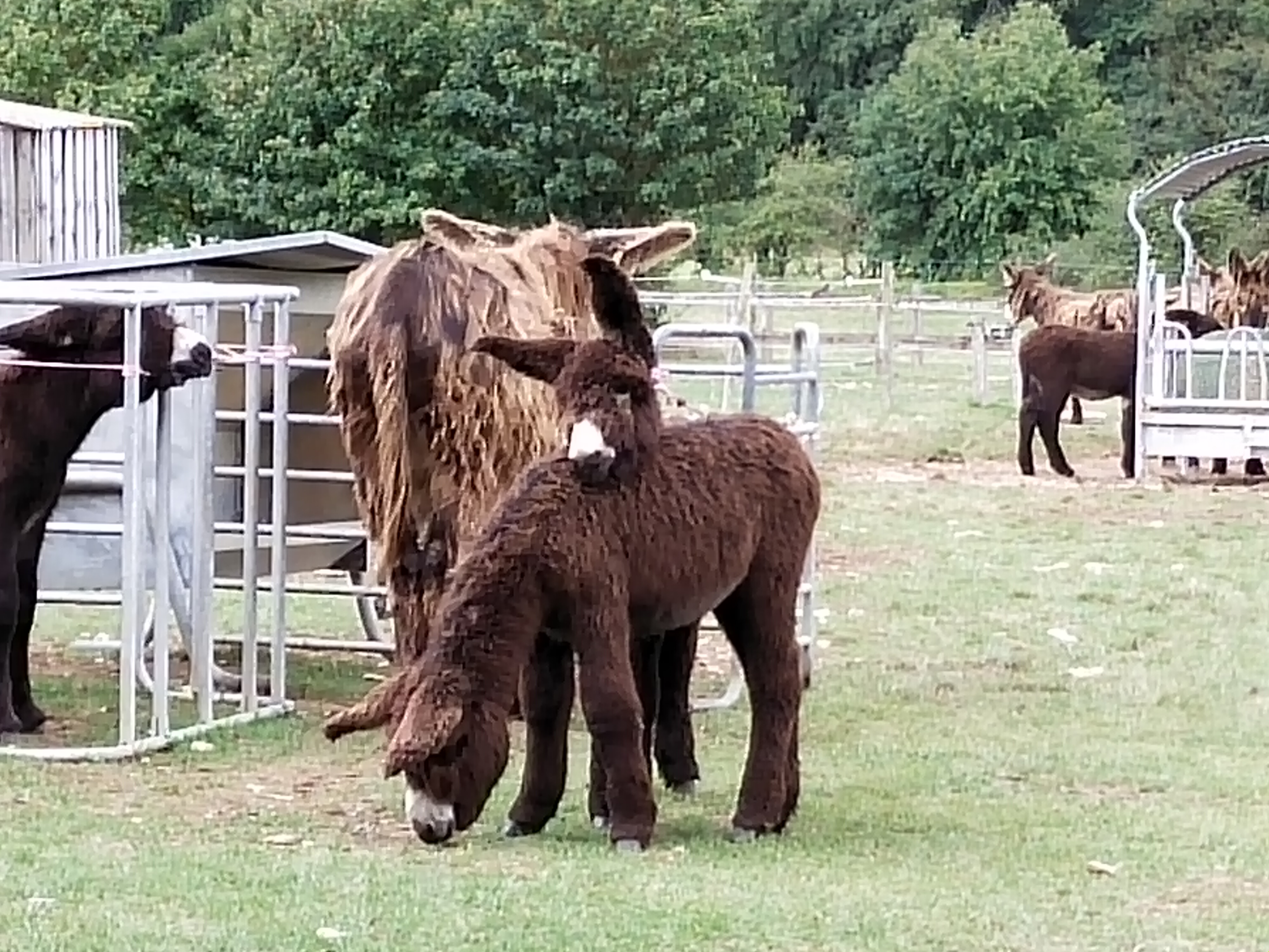 Photo n° 2 de l'avis de valerie.a fait le 18/09/2021 à 14:18