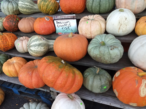 Supermarket «Big Y», reviews and photos, 700 S Main St #2, Great Barrington, MA 01230, USA