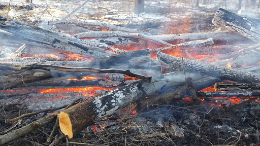 Nature Preserve «Captain Daniel Wright Woods Forest Preserve», reviews and photos, 24830 N St Marys Rd, Mettawa, IL 60045, USA