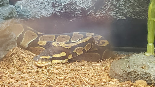 Pet Supply Store «Petco Animal Supplies», reviews and photos, 855 E Bidwell St, Folsom, CA 95630, USA