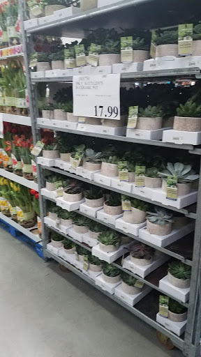 Warehouse club «Costco Wholesale», reviews and photos, 6720 Bass Pro Dr, Hudson, OH 44236, USA