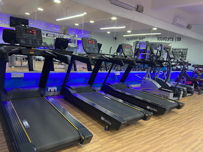 Elite Fitness - 28, W Jones Rd, Suriyammapet, Saidapet, Chennai, Tamil Nadu 600033, India