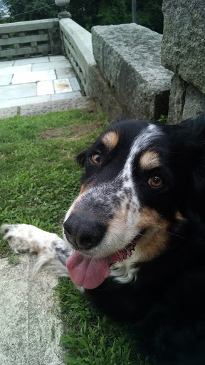 History Museum «Lambert Castle Museum», reviews and photos, 3 Valley Rd, Paterson, NJ 07503, USA