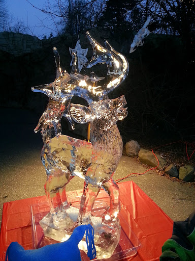 Zoo «Stone Zoo», reviews and photos, 149 Pond St, Stoneham, MA 02180, USA