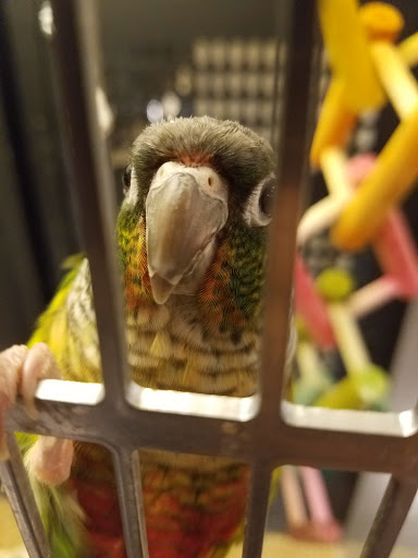 Pet Supply Store «PetSmart», reviews and photos, 16257 N Scottsdale Rd, Scottsdale, AZ 85254, USA