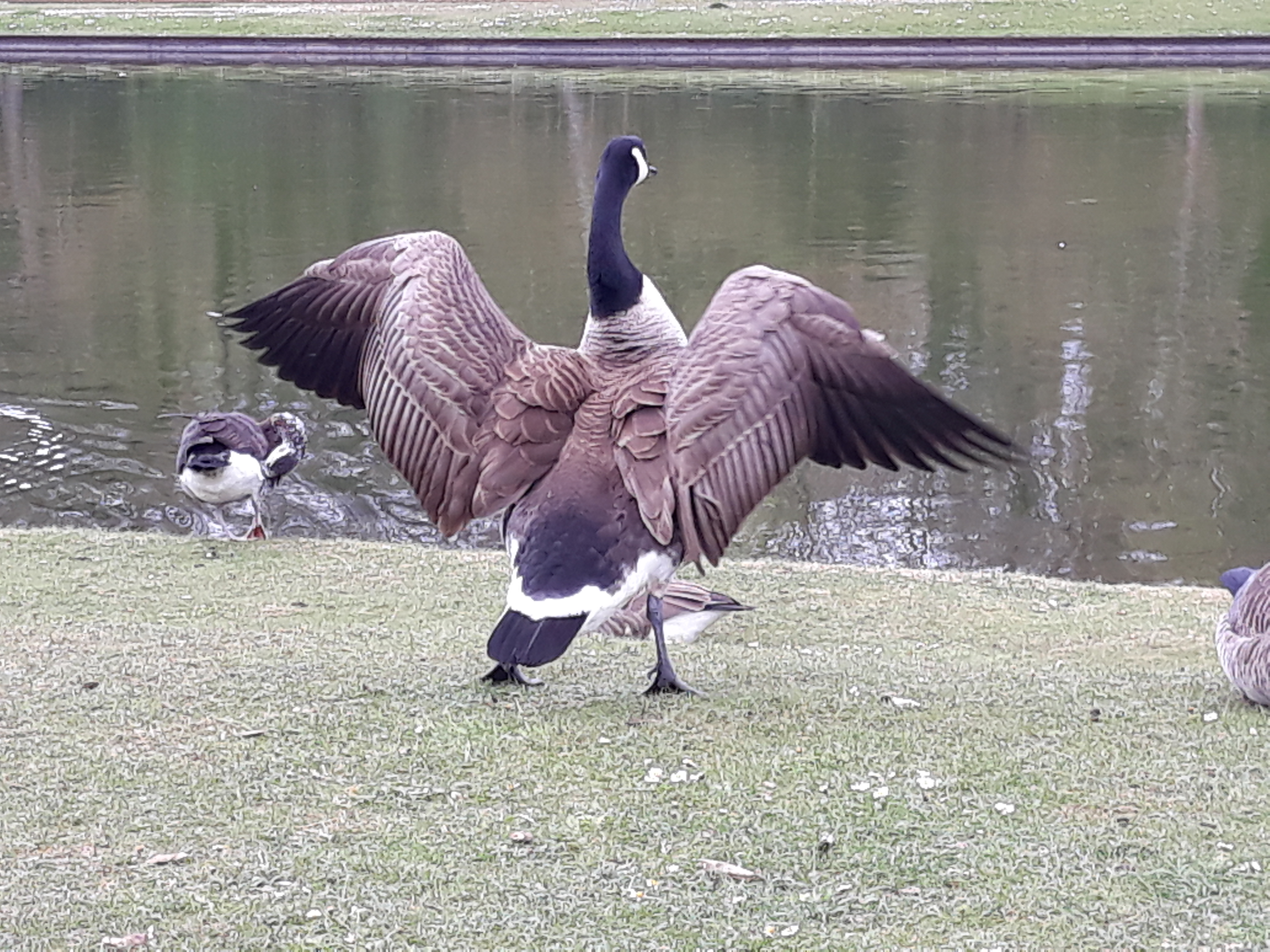 Photo n° 2 de l'avis de Laurence.n fait le 08/04/2019 à 16:05