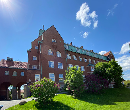 Medical universities in Stockholm