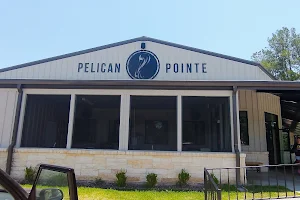 Pelican Pointe image