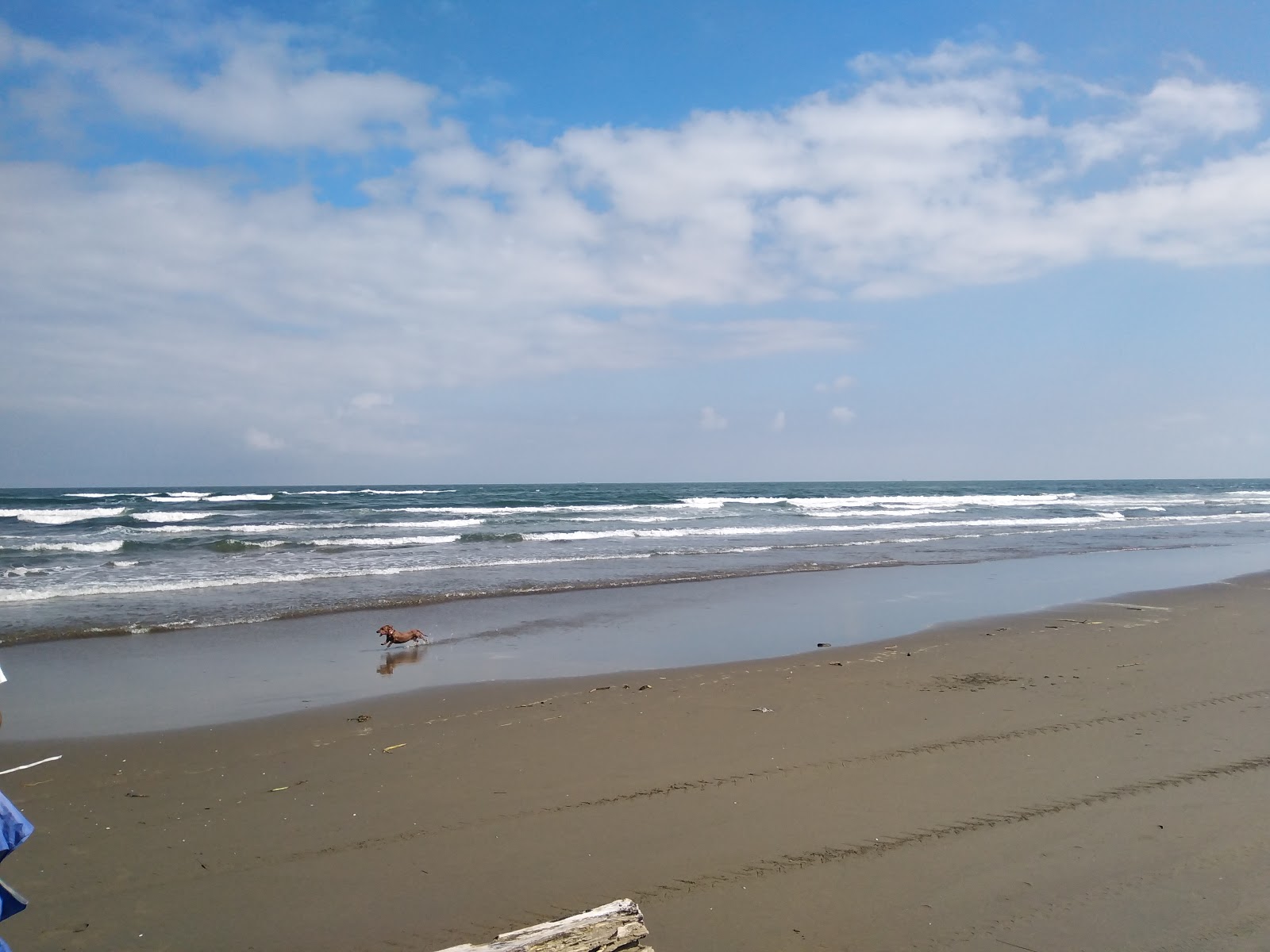 Φωτογραφία του Playa las dunas με μακρά ευθεία ακτή