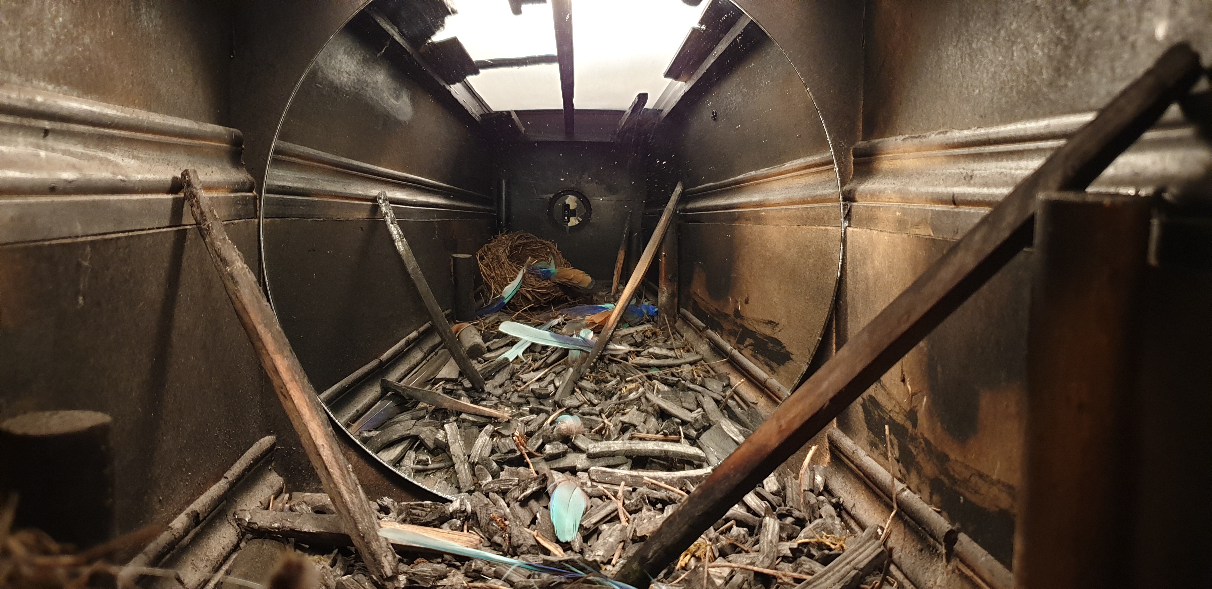Photo n° 4 de l'avis de Philippe.e fait le 12/09/2019 à 14:28