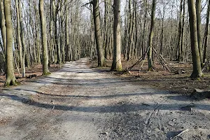 Poziomkowa Droga (Erdbeerweg) image