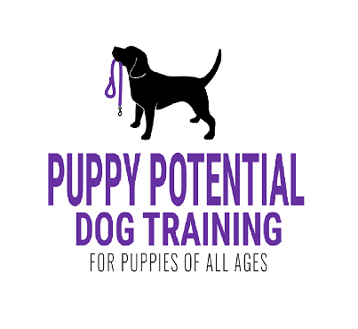 Reviews of Puppy Potential - Dog Training in Colchester - Dog trainer