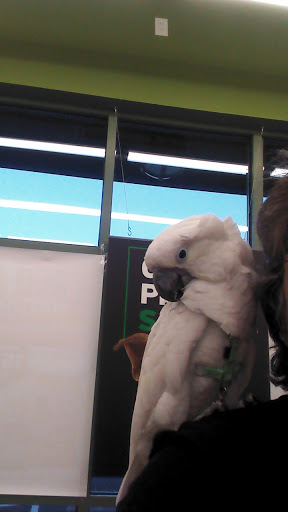 Pet Supply Store «Pet Supplies Plus», reviews and photos, 2823 Midway Rd SE, Bolivia, NC 28422, USA