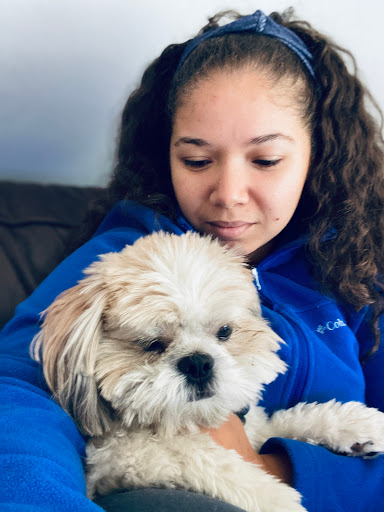 Pet Groomer «Weymouth Dog Shop», reviews and photos, 1192 Washington St, East Weymouth, MA 02189, USA