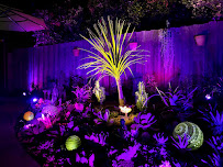 L.A. Voltage Inc. - Electrician & Landscape Lighting Contractors - Photo 2 - Car repair in Canoga Park, CA, Simi Valley