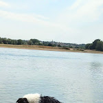 Photo n° 1 de l'avis de Amandine.e fait le 14/08/2022 à 08:06 pour Educanine Pays d'Ancenis à Vair-sur-Loire