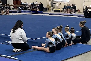 Mountain West Gymnastics image