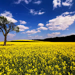 Photo n°3 de l'avis de Lars.h fait le 28/04/2022 à 18:51 sur le  Brauerei-Gasthof Kundmüller à Viereth-Trunstadt