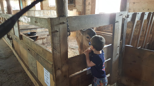 Dairy Farm «Sugar Hill Dairy», reviews and photos, 600 Pleasant St, Bridgewater, MA 02324, USA
