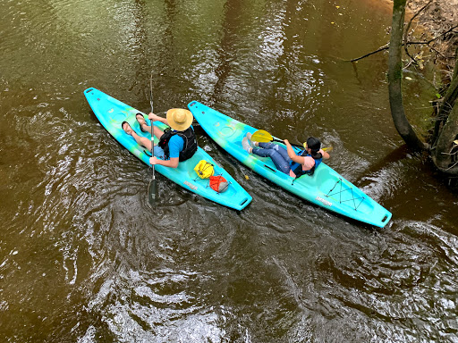 National Park «Congaree National Park», reviews and photos