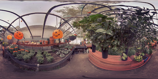 Florist «Manhasset Florist & Greenhouse», reviews and photos, 25 Orchard St, Manhasset, NY 11030, USA