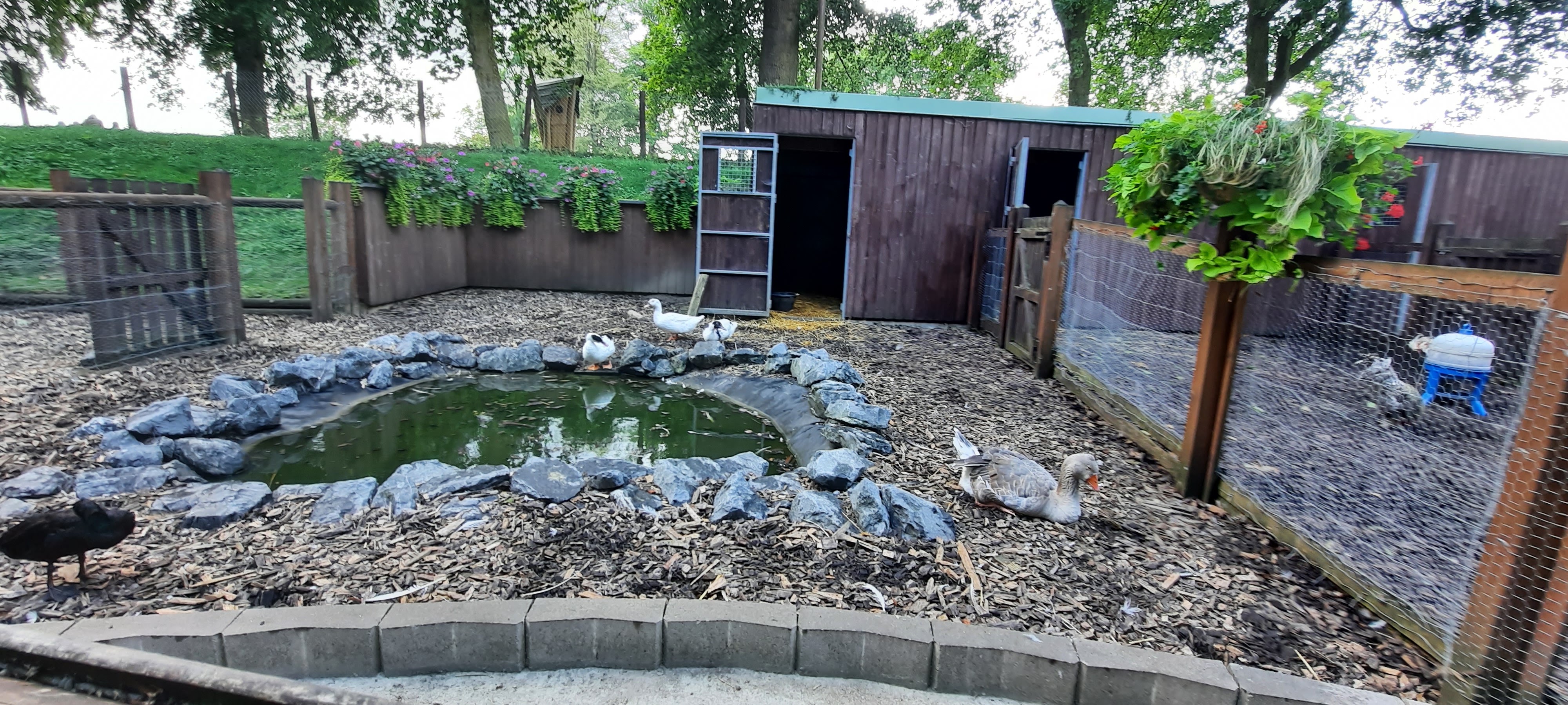 Photo n° 10 de l'avis de Tiphanie.A fait le 10/08/2021 à 20:48
