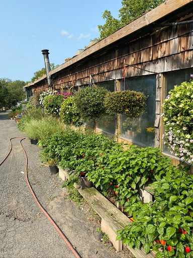 Florist «Butler Florist & Garden Center», reviews and photos, 416 Park Rd, West Hartford, CT 06119, USA