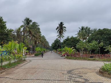 Google Maps image 21